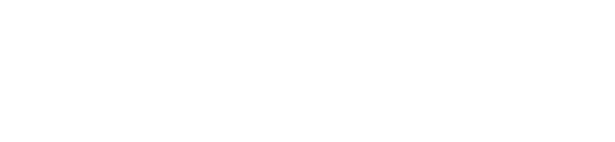 Magnisol